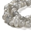 Natural Grey Moonstone Beads Strands G-G053-C10-01-4