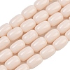 Opaque Glass Beads Strands GLAA-Z015-02H-1