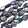 1 Strand Natural Abalone Shell/Paua Shell Beads Strands SSHEL-PA0001-03-1