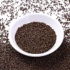 MIYUKI Delica Beads SEED-X0054-DB1051-2