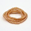 Full Rainbow Plated Faceted Rondelle Glass Beads Strands EGLA-J054-3x2mm-FR01-2