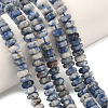 Natural Blue Spot Jasper Beads Strands G-L654-I06-01-1