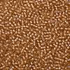 TOHO Round Seed Beads X-SEED-TR11-0923-2