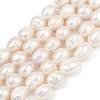 Natural Cultured Freshwater Pearl Beads Strands PEAR-P064-20K-05A-2