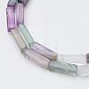 Natural Fluorite Bead Strands G-G968-D13-3