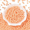 Opaque Baking Paint Glass Seed Beads SEED-T008-02D-2