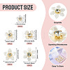 50Pcs 5 Styles Acrylic Cabochons MACR-TA0002-90-4