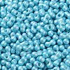 Glass Seed Beads SEED-L011-04A-11-3