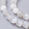 Natural Selenite Beads Strands G-I203-C-10mm-3