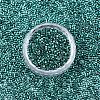FGB 11/0 Grade A Glass Seed Beads X-SEED-S030-1216-3