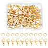 304 Stainless Steel Lobster Claw Clasps STAS-DC0002-24-1