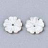 Natural White Shell Beads SSHEL-S260-050A-3