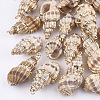 Electroplate Spiral Shell Pendants SSHEL-S262-24-1