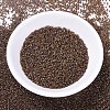 MIYUKI Delica Beads SEED-X0054-DB0287-2
