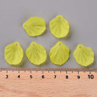Transparent Frosted Acrylic Pendants MACR-S371-01A-717-1