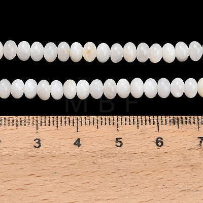 Natural Freshwater Shell Beads Strands SHEL-C010-04B-02-1