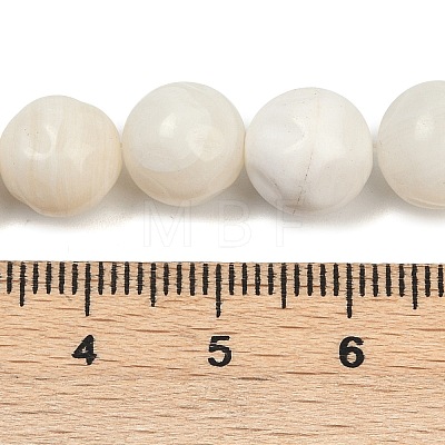 Natural White Shell Beads Strands BSHE-U001-01E-1