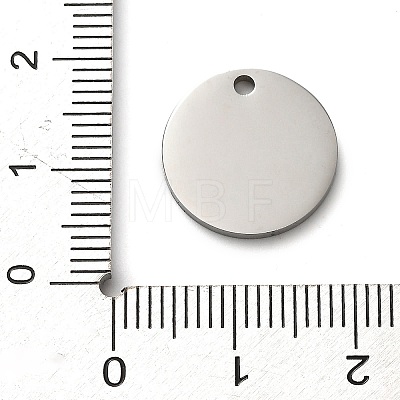 304 Stainless Steel Pendants STAS-H438-07P-02-1