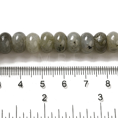 Natural Labradorite Beads Strands G-G102-C06-01-1