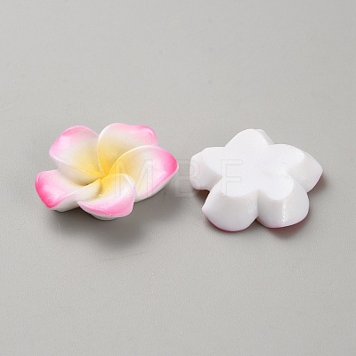 Two Tone Resin Cabochons LS-RESI-WH20010-01F-1
