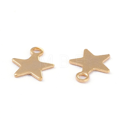 201 Stainless Steel Charms X-STAS-B001-14A-G-1