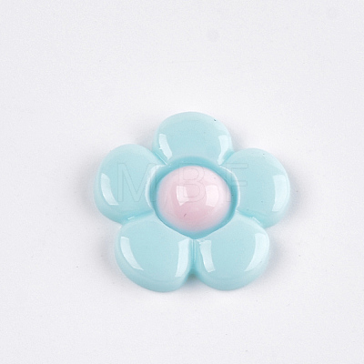 Resin Cabochons CRES-Q197-37H-1