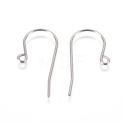 304 Stainless Steel Earring Hooks STAS-F227-29-P-1
