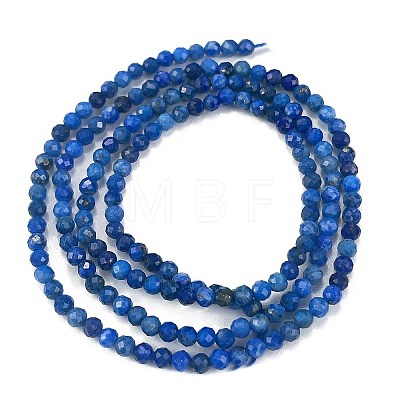 Natural Lapis Lazuli Beads Strands G-L587-A03-01-1