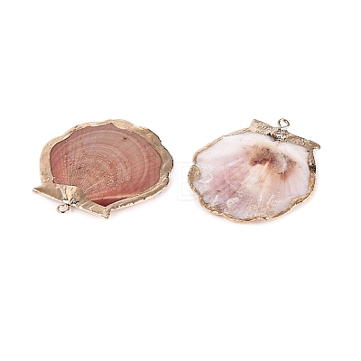 Electroplated Golden Brass Trim Natural Sea Shell Pendants SSHEL-N042-33-1