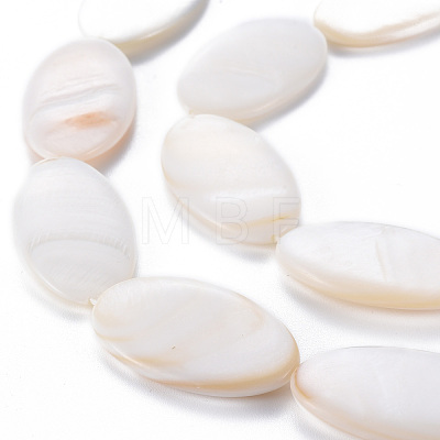 Natural Freshwater Shell Beads Strands SHEL-N026-169-1