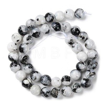 Natural Rainbow Moonstone Beads Strands G-Q1001-A05-04-1