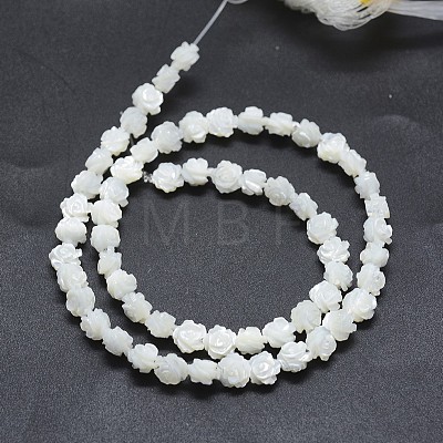 Natural White Shell Beads Strands SSHEL-P015-01A-6mm-1