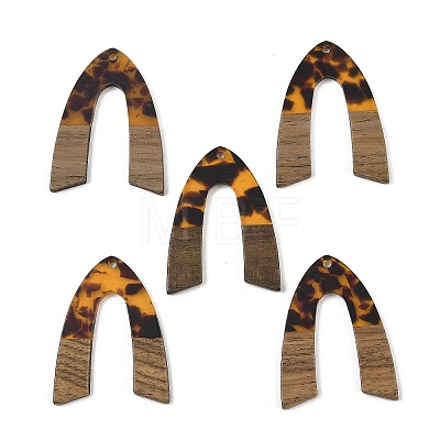 Transparwnt Resin & Walnut Wood Pendants RESI-I354-03J-1