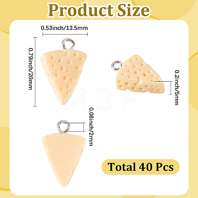 40Pcs Resin Pendants RESI-SC0006-88-1