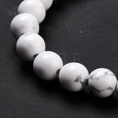 Synthetic Howlite Beads Strands G-E568-04A-1