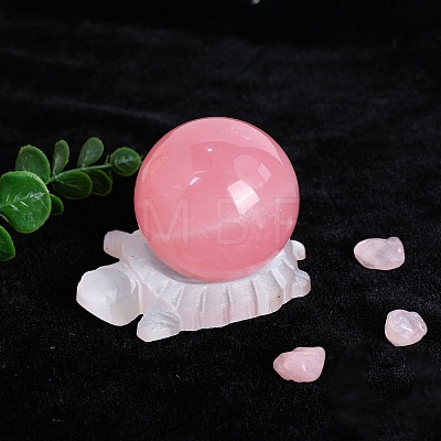 Tortoise Natural Selenite Crystal Ball Holders PW-WG56444-01-1