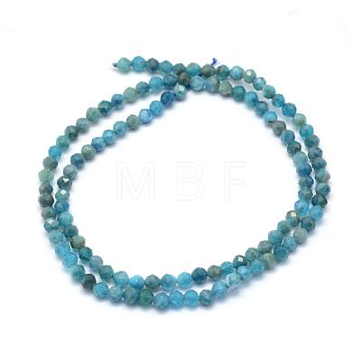 Natural Apatite Beads Strands G-E411-36-4mm-1