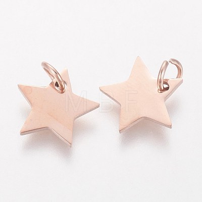 304 Stainless Steel Charms STAS-Q201-T461R-1