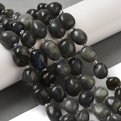 Natural Larvikite Beads Strands G-Q169-E05-01-1