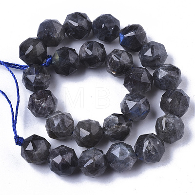 Natural Labradorite Beads Strands G-N327-03B-06-1