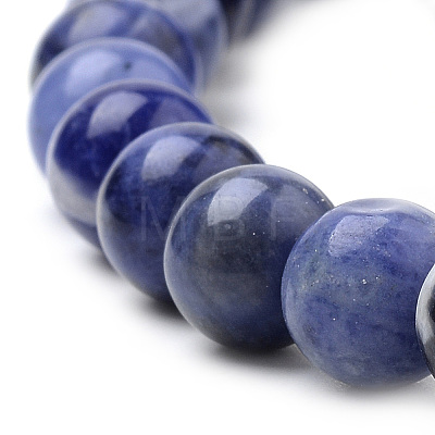 Natural South Africa Sodalite Beads Strands X-G-S259-35-10mm-1