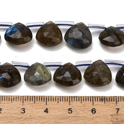 Natural Labradorite Beads Strands G-C292-A09-01-1