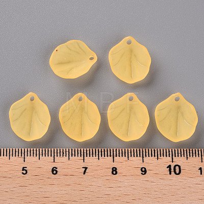 Transparent Frosted Acrylic Pendants MACR-S371-02A-719-1