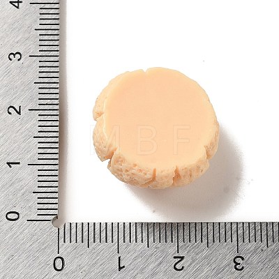 Opaque Resin Imitation Food Decoden Cabochons CRES-A058-02A-1