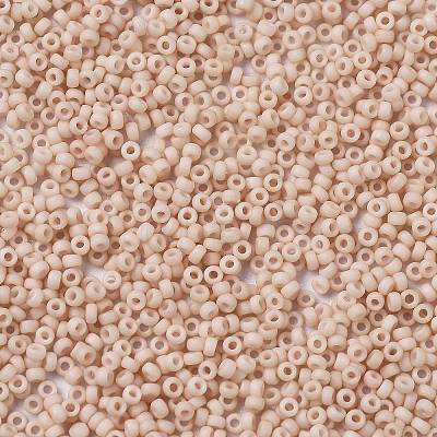 MIYUKI Round Rocailles Beads X-SEED-G009-RR2023-1