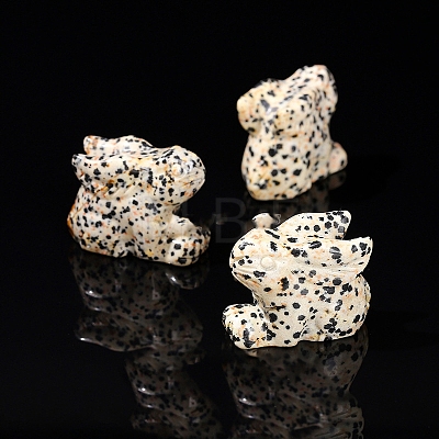 Natural Dalmatian Jasper Display Decorations PW-WG14A90-48-1