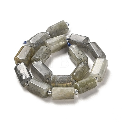 Natural Labradorite Beads Strands G-N327-06-06-1