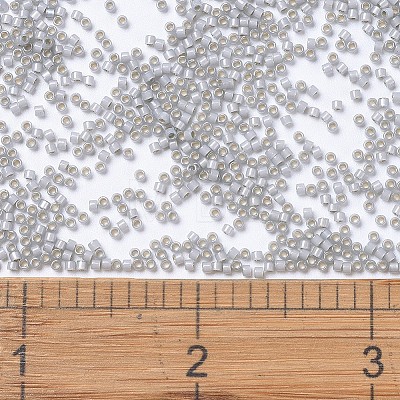 MIYUKI Delica Beads X-SEED-J020-DB1455-1