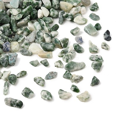 Natural Green Spot Jasper Chip Beads GG-CBABB01-02-1
