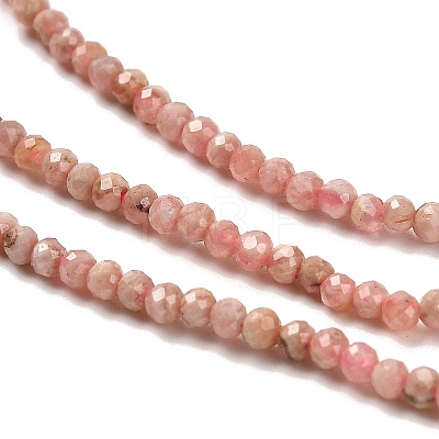 Natural Argentina Rhodonite Beads Strands G-B107-A04-01-1